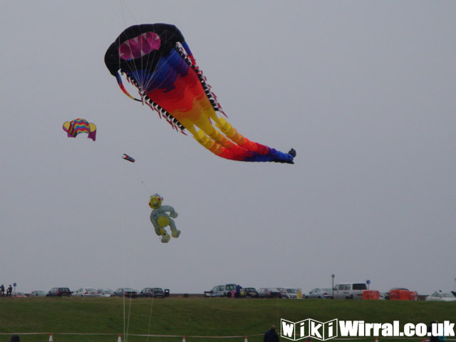 Attached picture Kite 12.jpg